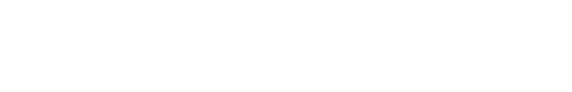 Camp Solutions logo